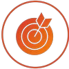Bullseye Icon Orange